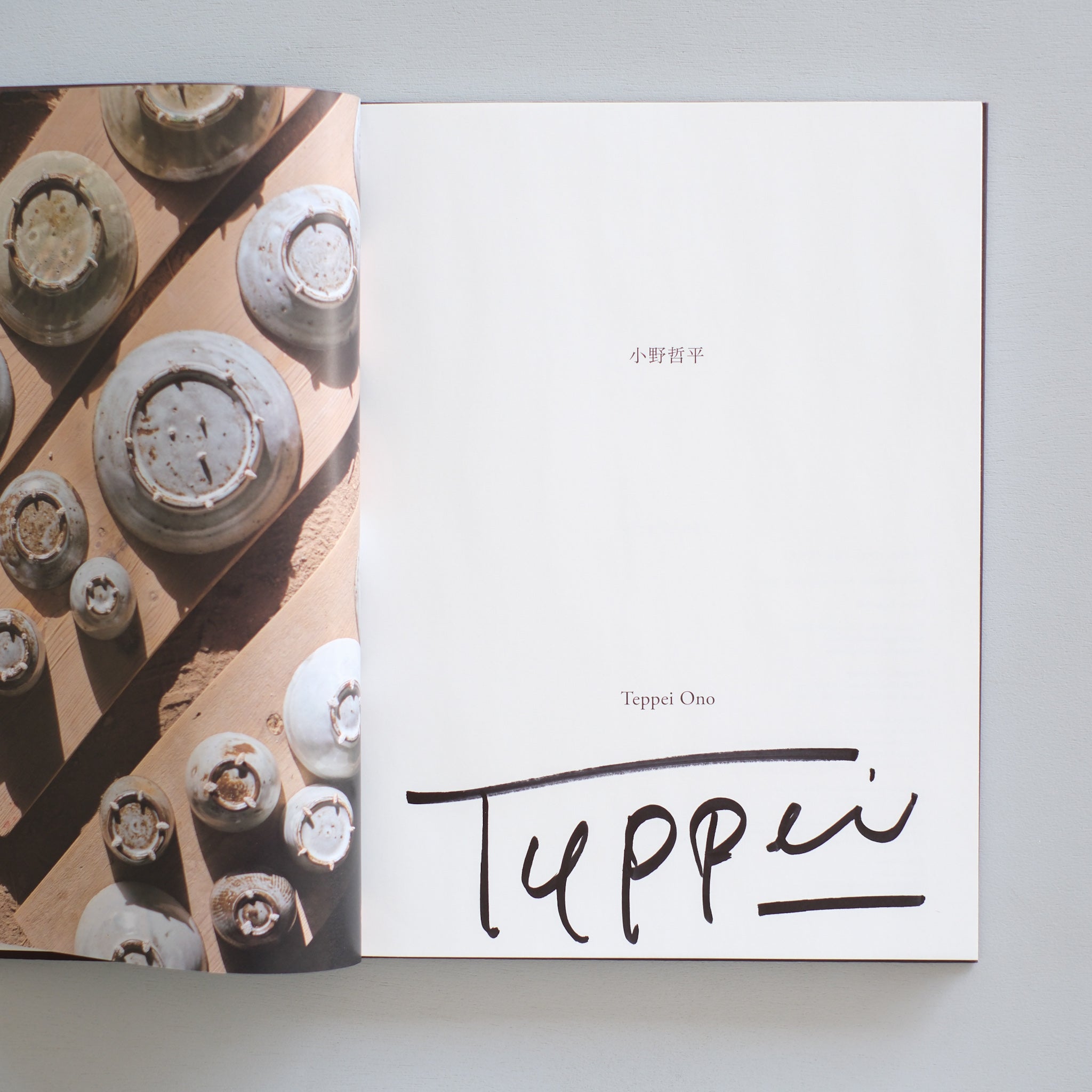 TEPPEI ONO THE WORKS